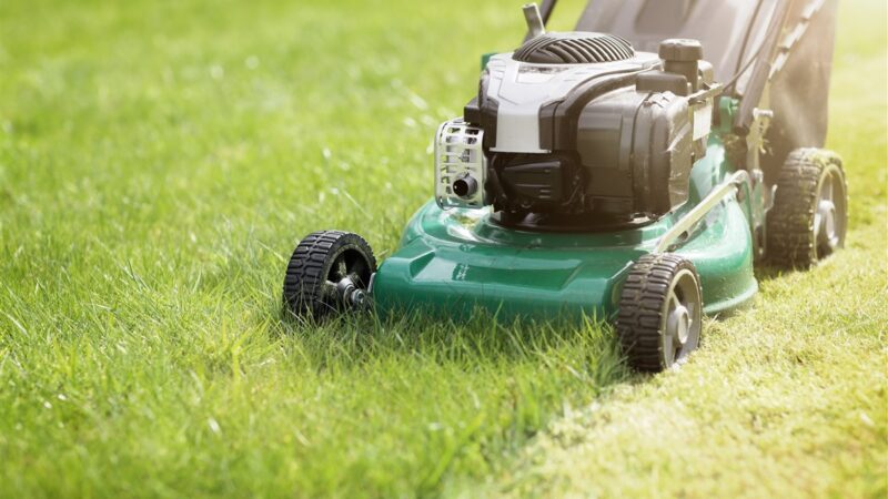 Optimisation de la hauteur de coupe pour un gazon de type sportif