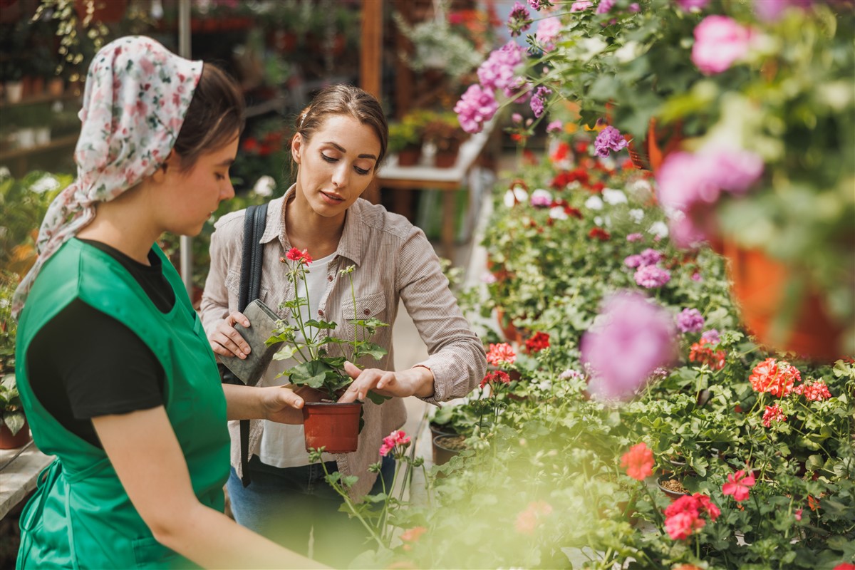 Planning des phases lunaires : optimiser son jardinage en décembre 2024