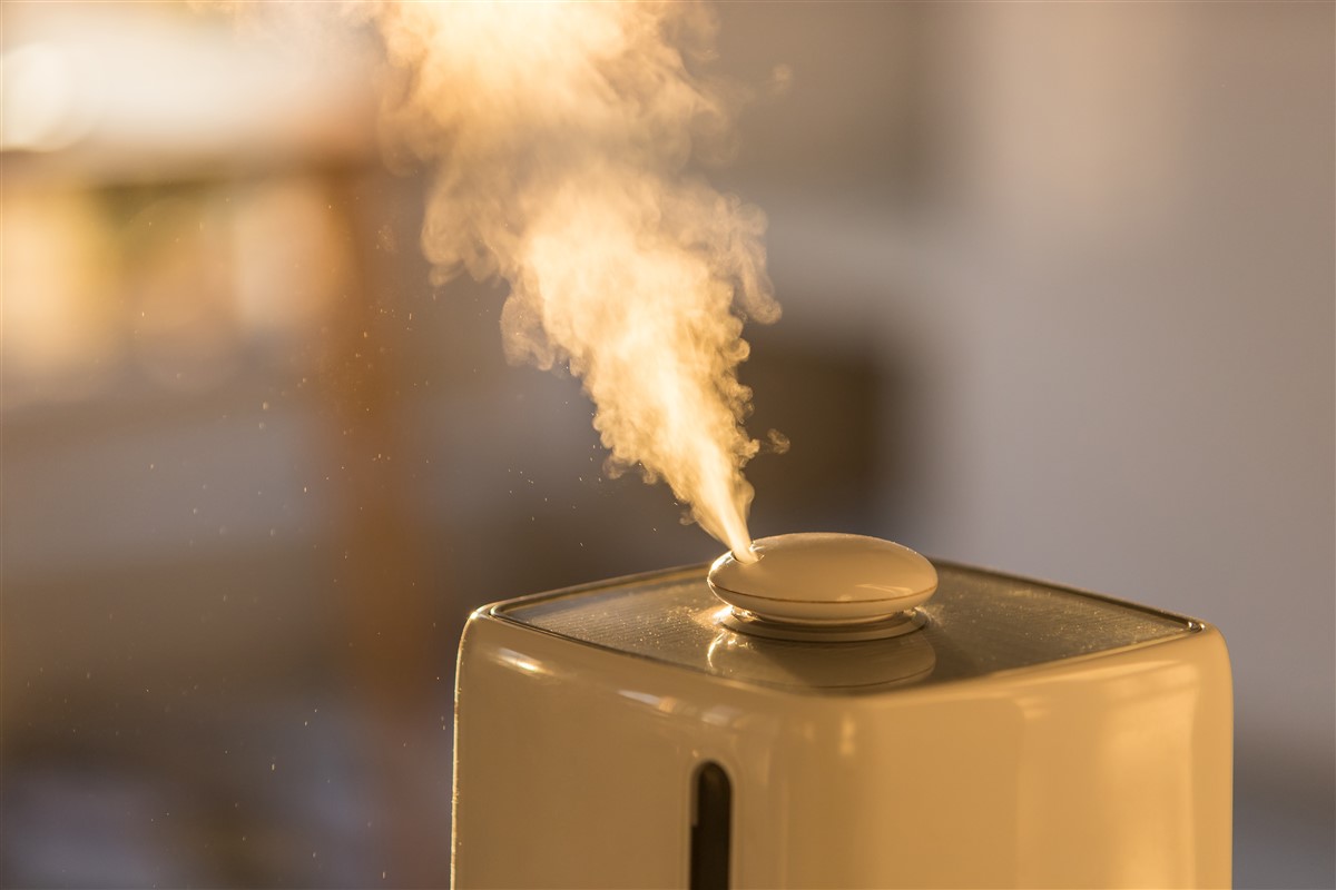 Choisir le bon humidificateur pour les intérieurs arides