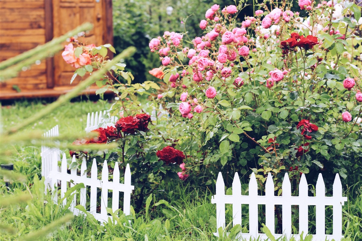 Choisir une clôture design pour un jardin contemporain : nos astuces